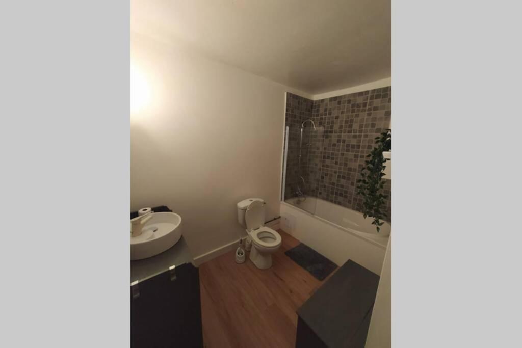 Appartement T2 Cosy Et Chaleureux - 40Mn De Rennes Plumaugat Bagian luar foto